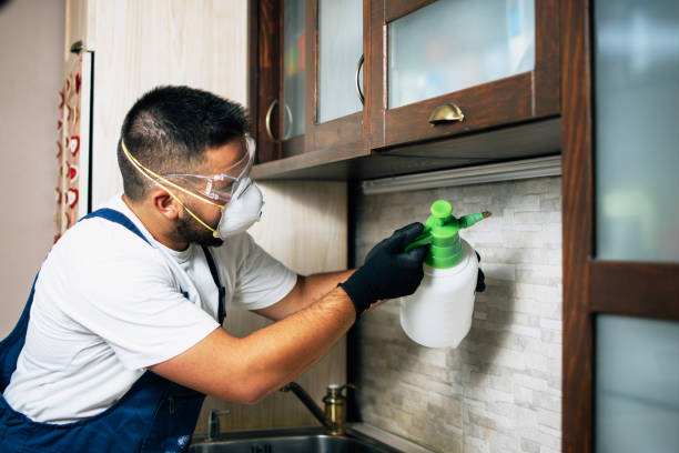 Best Ant Control Services  in Gardendale, TX