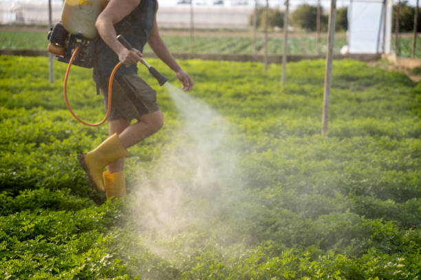 Best Pest Removal Services  in Gardendale, TX