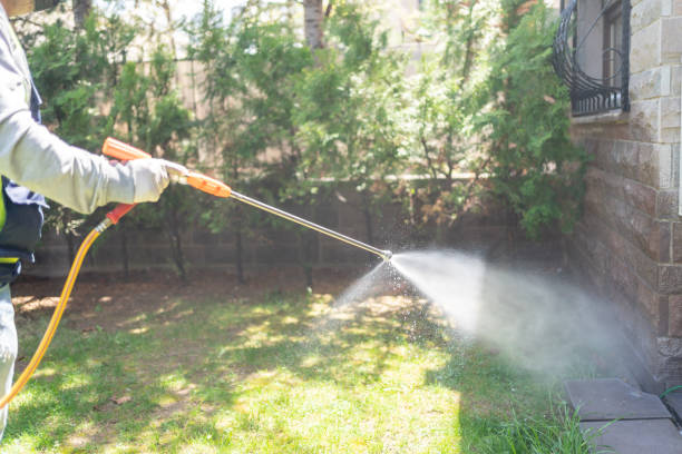 Best Mosquito Control Services  in Gardendale, TX