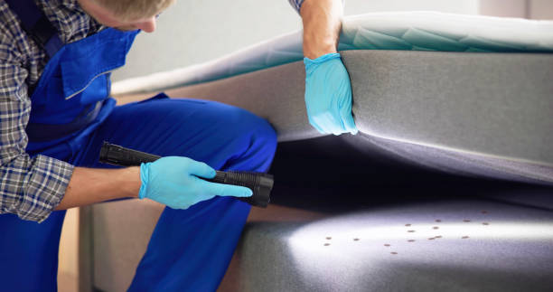 Best Affordable Pest Control Services  in Gardendale, TX