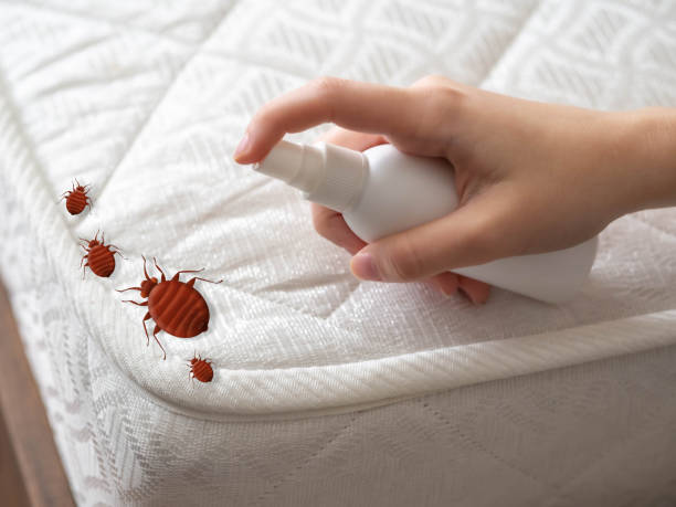 Best Best Pest Control Companies  in Gardendale, TX