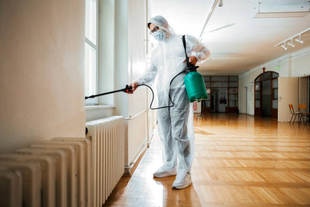 Trusted Gardendale, TX Pest Control Experts