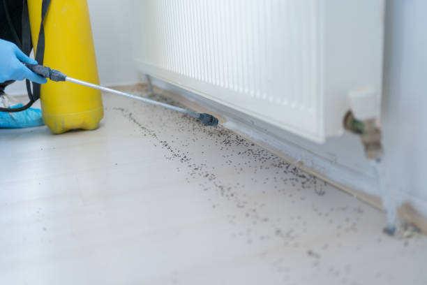 Best Pest Control for Restaurants  in Gardendale, TX